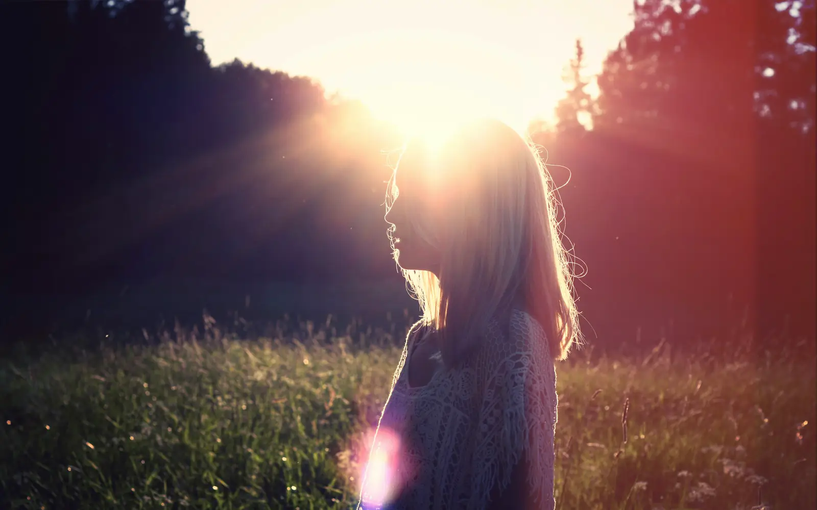 Someone standing in a field as the morning sun comes through the trees